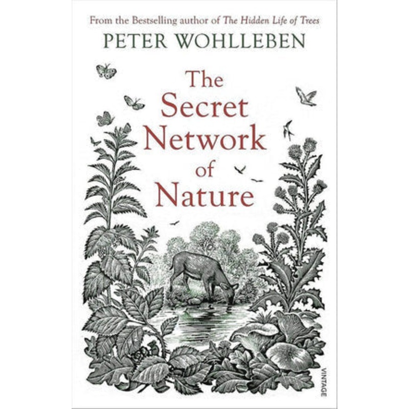 The Secret Network of Nature
