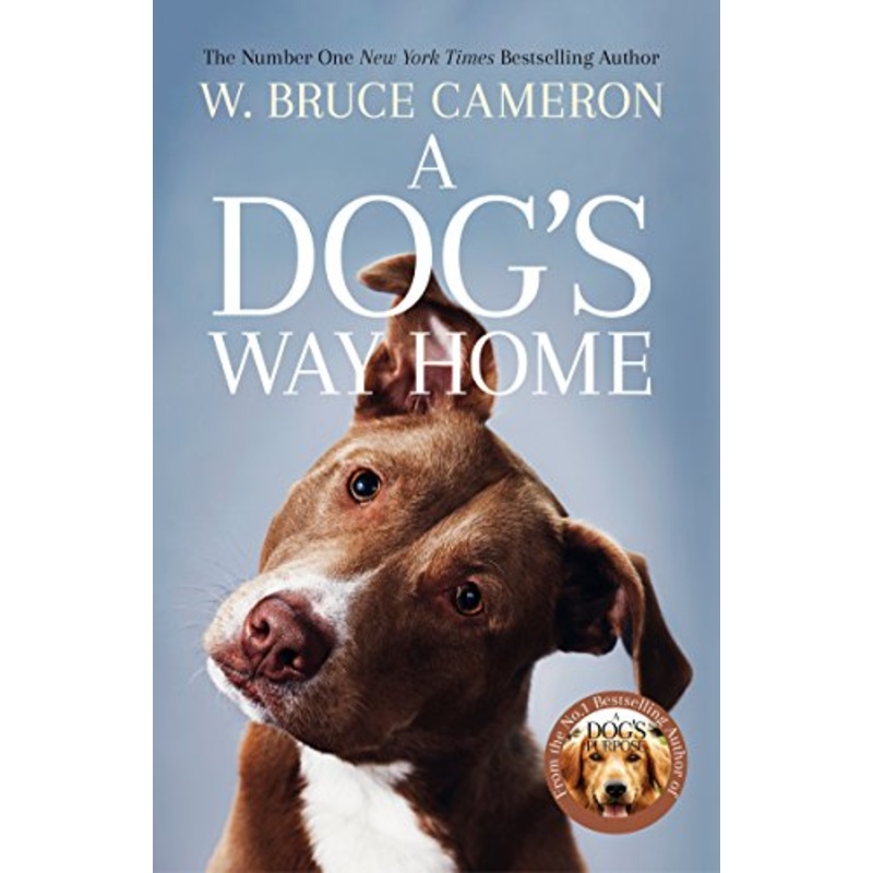 A Dog's Way Home: The Heartwarming Story of the Special Bond Between Man and Dog