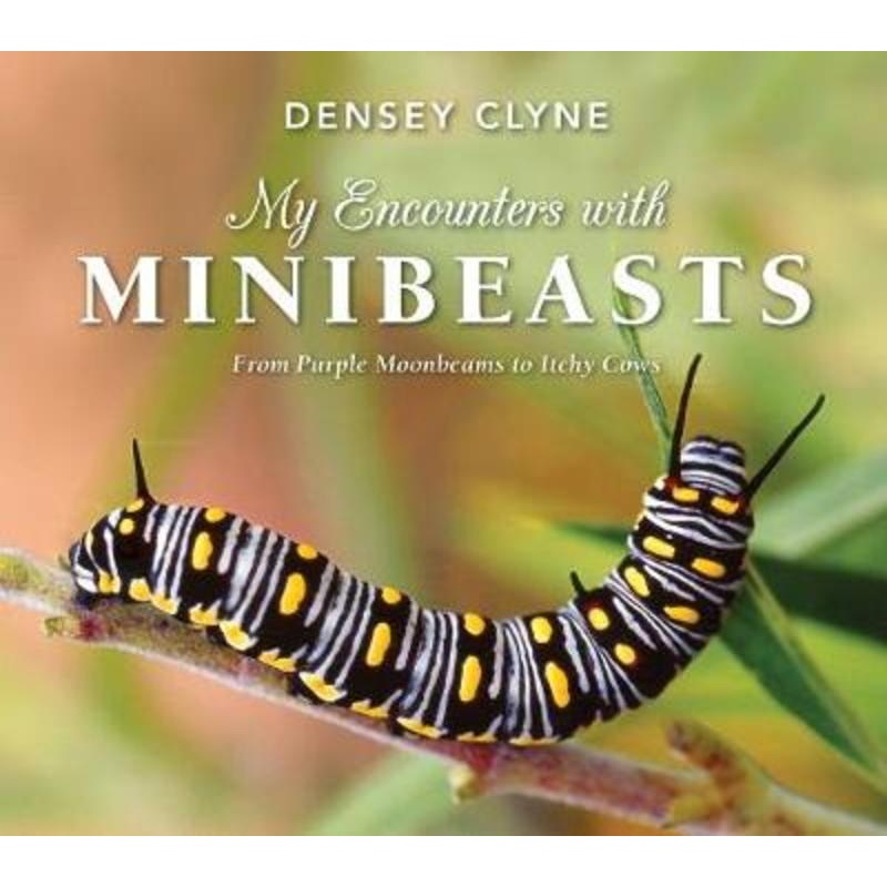 My Encounters with Minibeasts From Purple Moonbeams to Itchy Cows