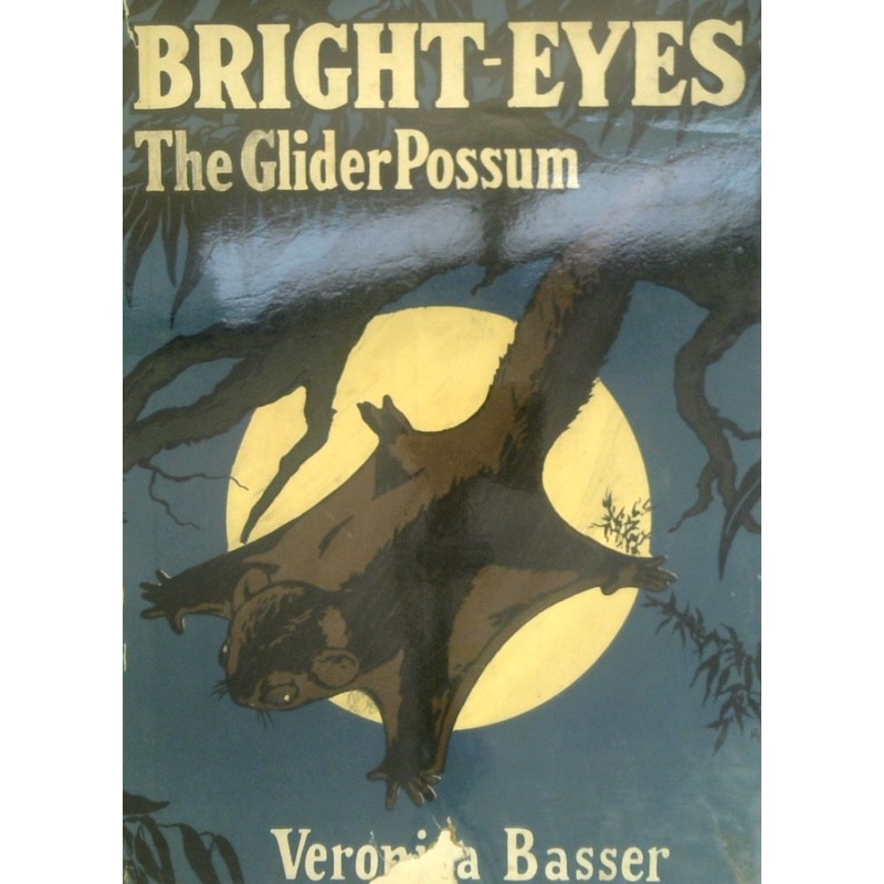Bright-Eyes: The Glider Possum