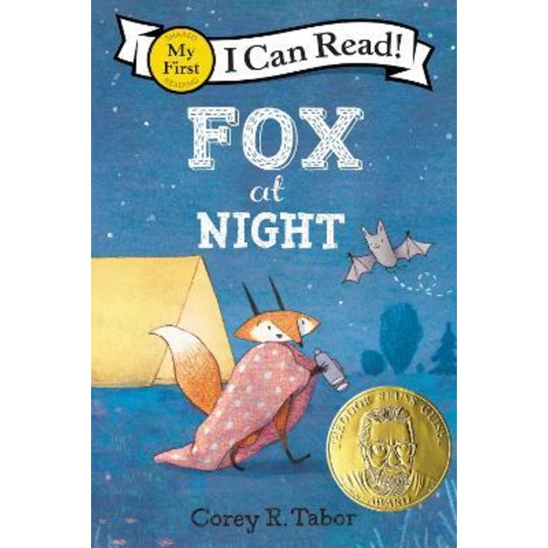 Fox at Night