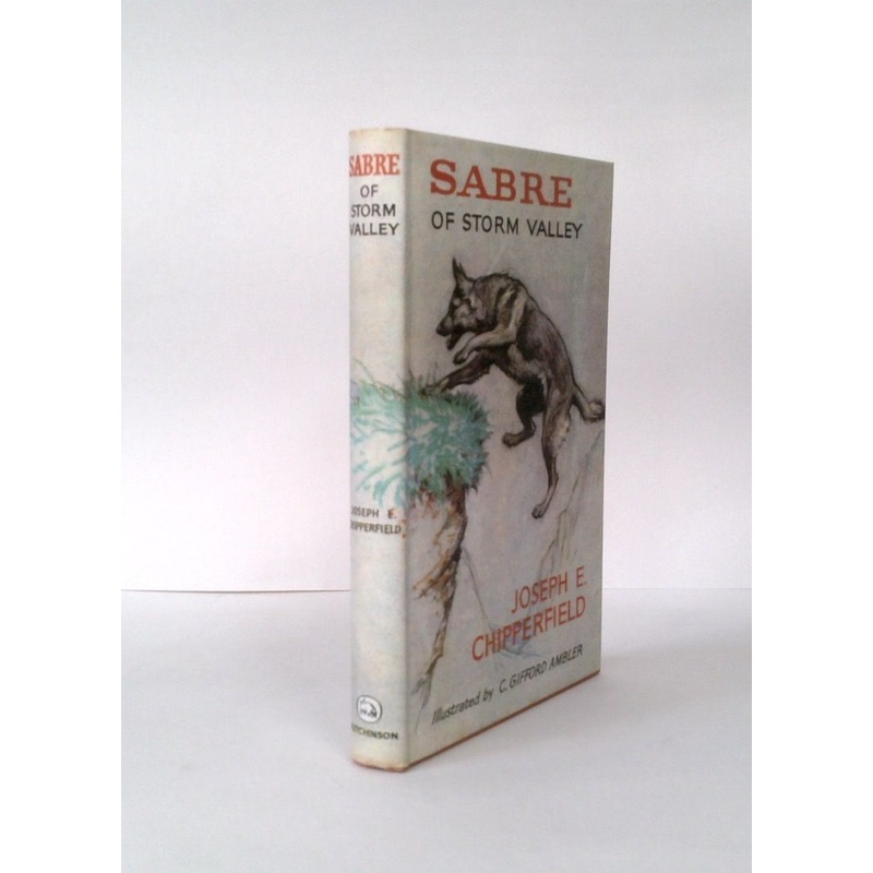 Sabre of Storm Valley