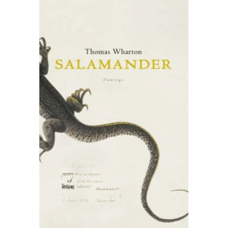 Salamander