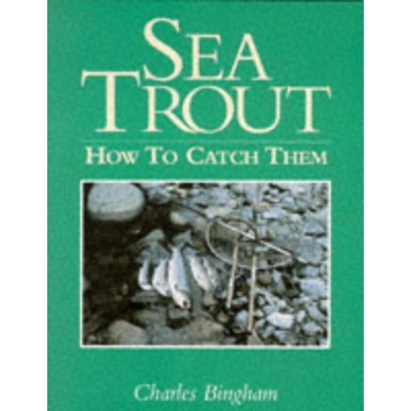 Sea Trout: How to Catch Them