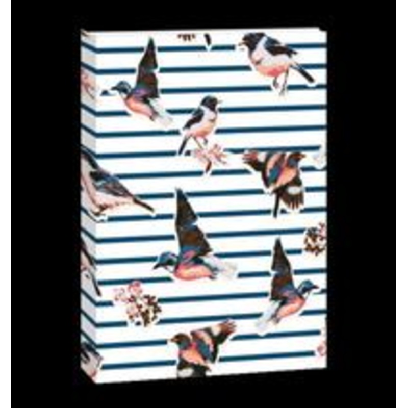 Flexi Journal Birds with Stripes