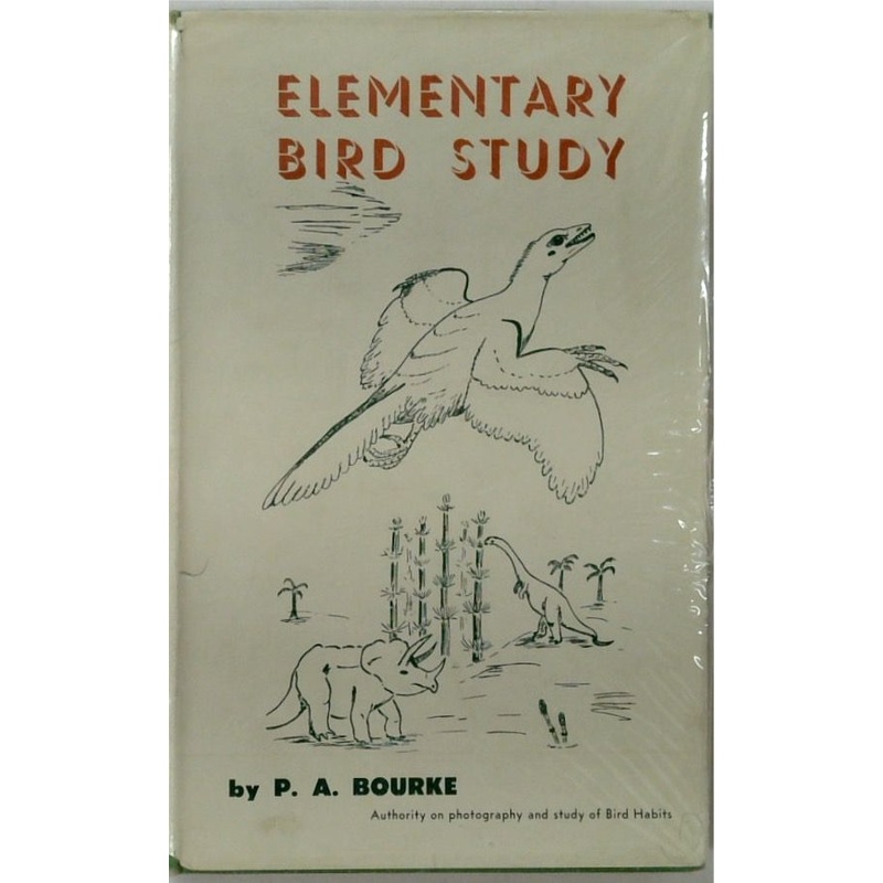 Elementary Bird Study