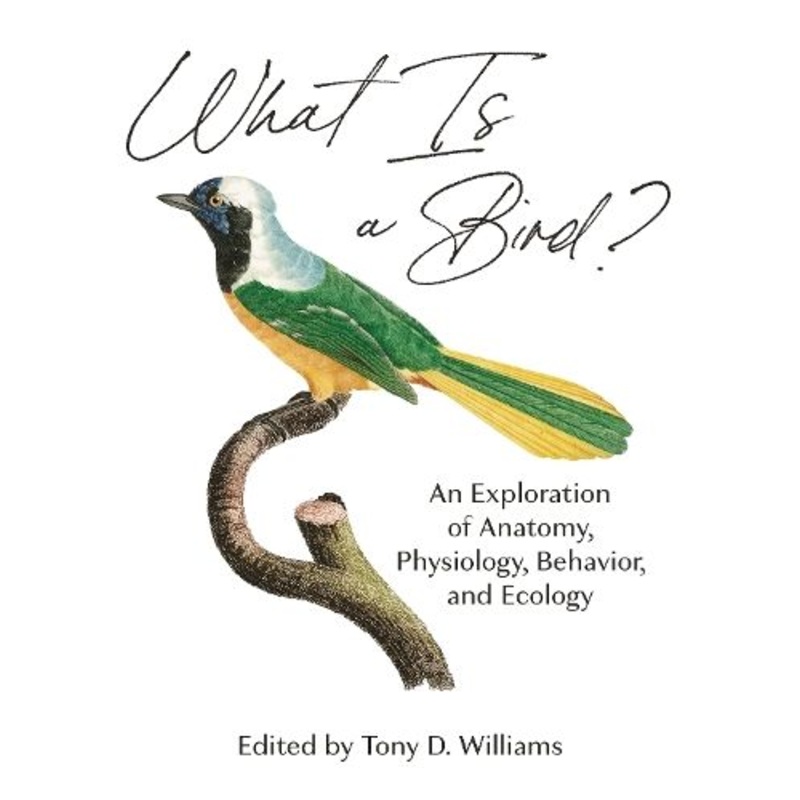 What Is a Bird?: An Exploration of Anatomy, Physiology, Behavior, and Ecology