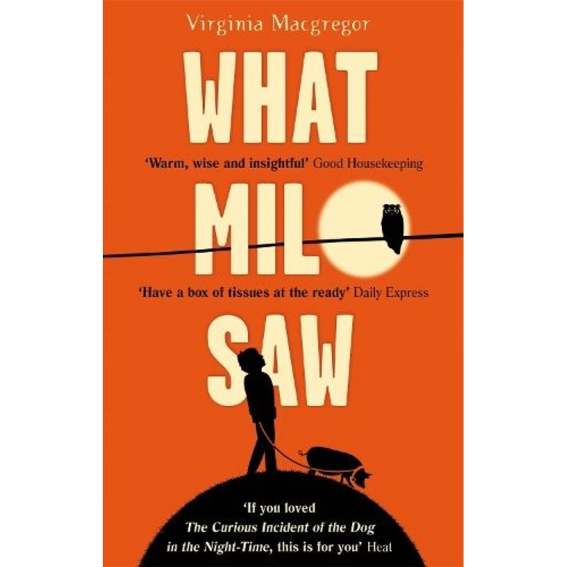 What Milo Saw: He sees the world in a very special way . . .