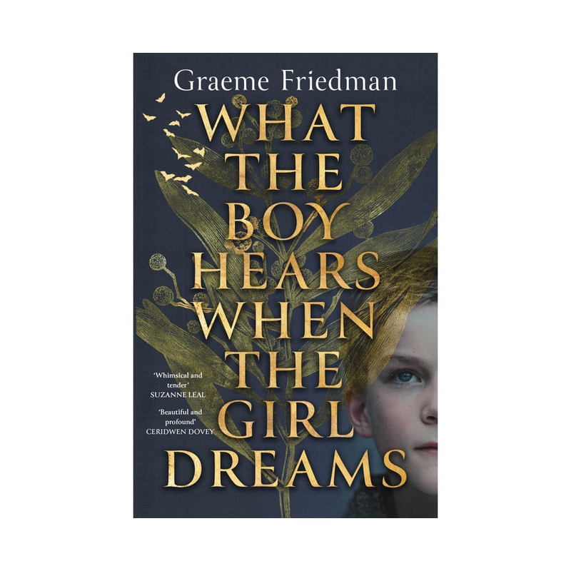 What the Boy Hears When the Girl Dreams