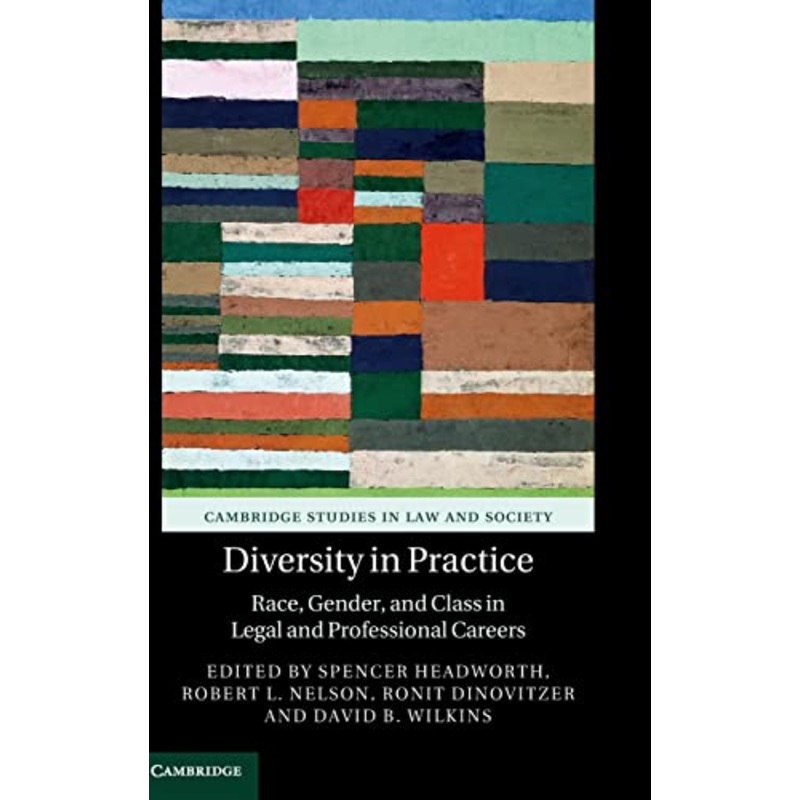 Diversity in Practice: Race, Gender, and Class in Legal and Professional Careers