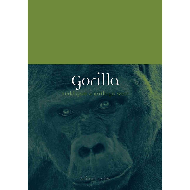 Gorilla