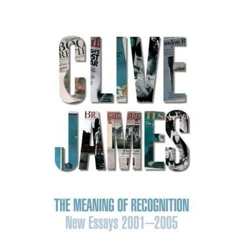 The Meaning of Recognition: New Essays 2001-2005
