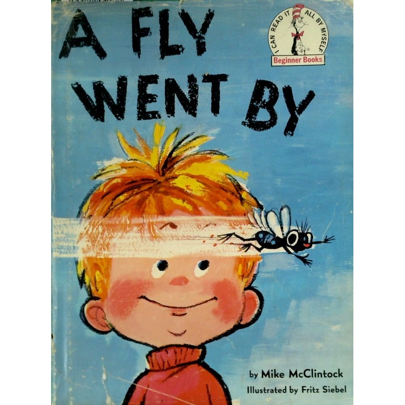 A Fly Went By
