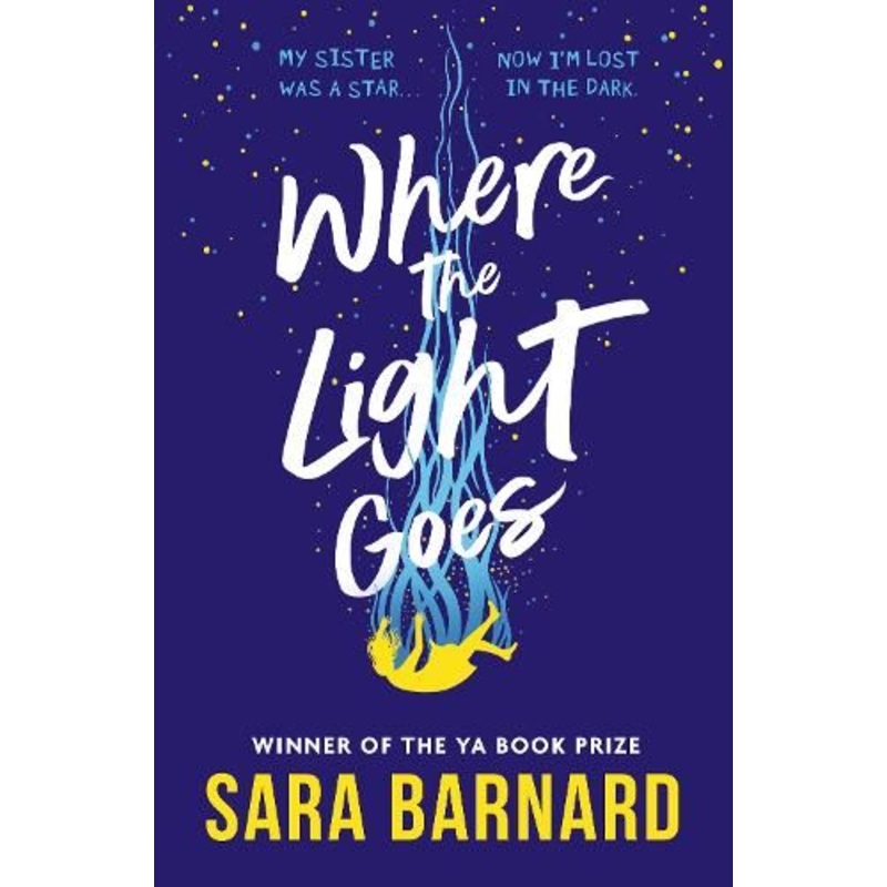Where the Light Goes
