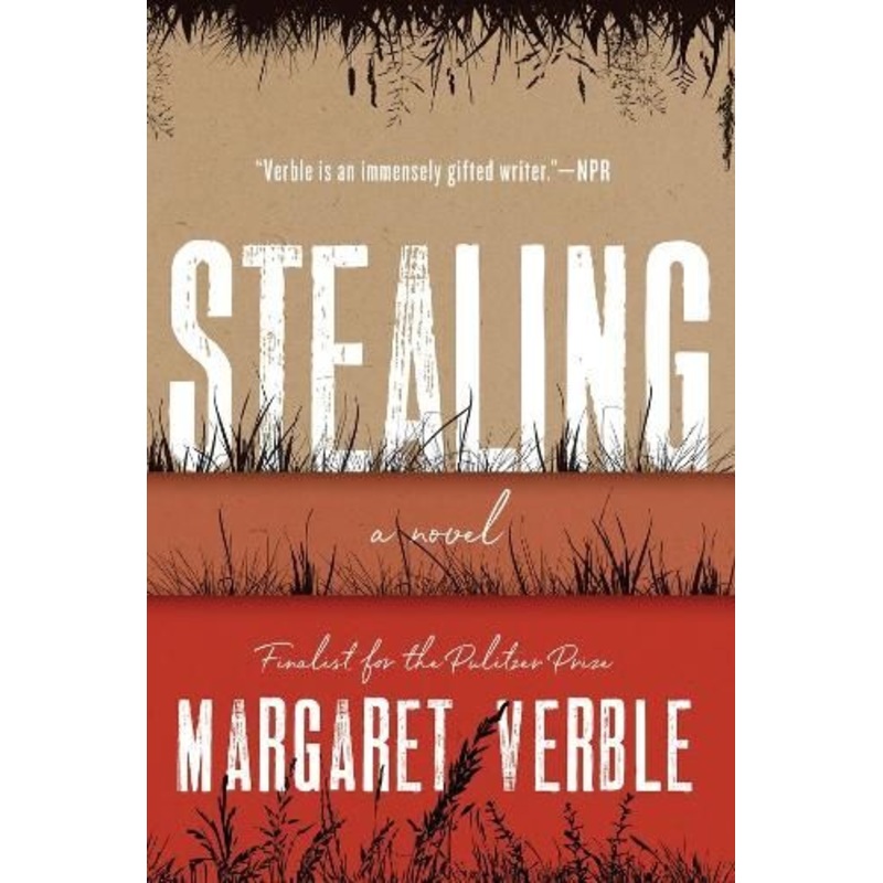 Stealing: A Novel
